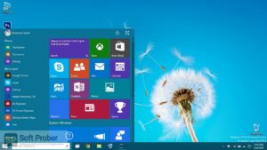 Windows 10 Pro Updated Jan 2020 Direct Link Download-Softprober.com