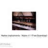 Native Instruments – Noire v1.1 Free Download