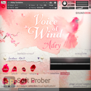 Soundiron Voice of Wind Adey v1.1 (KONTAKT) Direct Link Download-Softprober.com