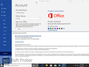 Windows 10 Pro 19H2 Lite February 2020 Direct Link Download-Softprober.com