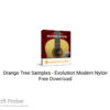 Orange Tree Samples – Evolution Modern Nylon 2020 Free Download