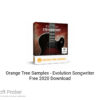 Orange Tree Samples – Evolution Strawberry 2020 Free Download