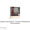 Orange Tree Samples Evolution Stratosphere 2020 Download