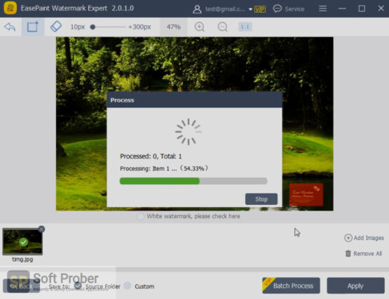 EasePaint Watermark Remover 2020 Offline Installer Download-Softprober.com