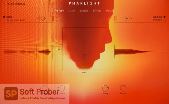 Native Instruments–Pharlight (KONTAKT) Free Download-Softprober.com