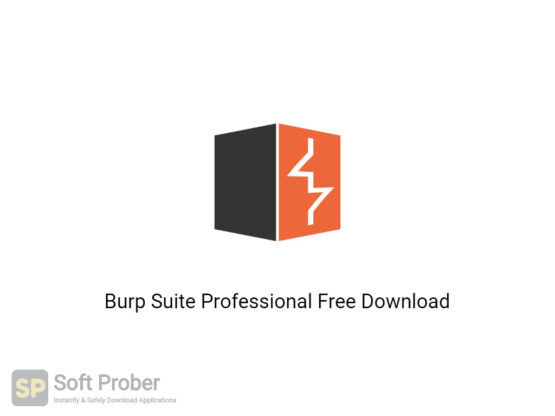 Burp Suite Professional 2020 Free Download-Softprober.com