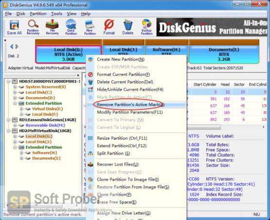 DiskGenius Professional 2020 Direct Link Download-Softprober.com