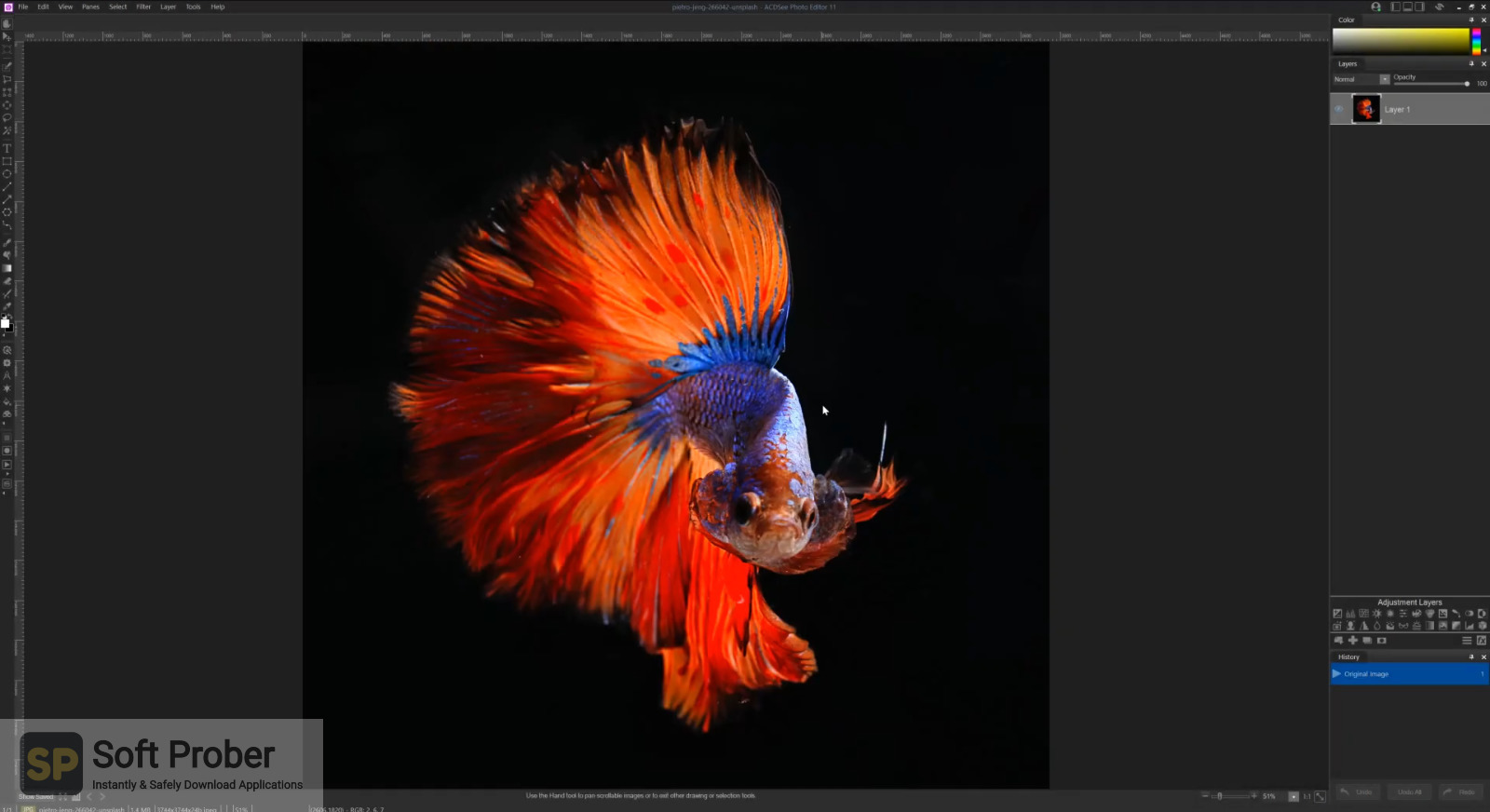 acdsee photo editor 10 free download