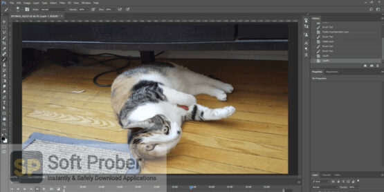 Adobe Photoshop 2021 Direct Link Download-Softprober.com
