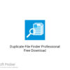 Duplicate File Finder Professional 2020 Free Download