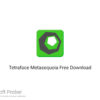 Tetraface Metasequoia 2020 Free Download