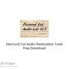 Diamond Cut Audio Restoration Tools 2021 Download