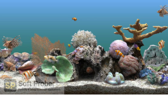 serene scene marine aquarium