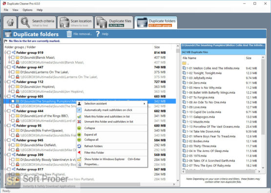 Duplicate Cleaner Pro 2021 Latest Version Download-Softprober.com