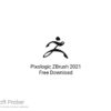 Pixologic ZBrush 2021 Free Download