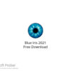 Blue Iris 2021 Free Download