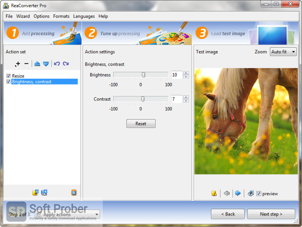 reaConverter Pro 7.793 instal the new for windows