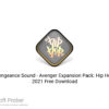Vengeance Sound – Avenger Expansion Pack: Hip Hop 2021 Free Download