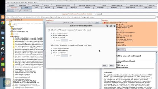 Burp Suite Professional 2021 Latest Version Download-Softprober.com