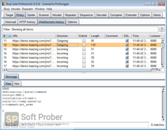 Burp Suite Professional 2021 Offline Installer Download-Softprober.com