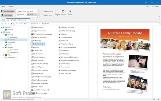 File Viewer Plus 2021 Direct Link Download-Softprober.com