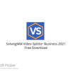 SolveigMM Video Splitter Business 2021 Free Download
