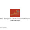 8dio – Sample Aid – Studio Series: Fire Trumpet Free Download