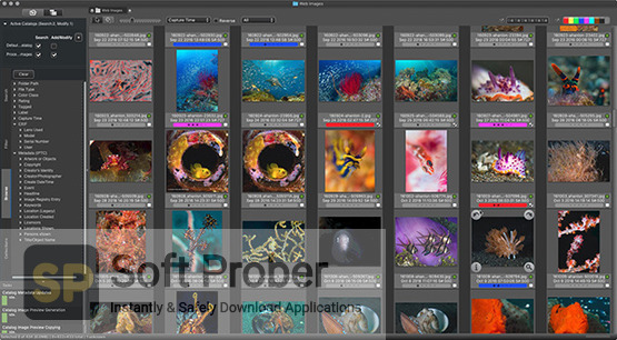 Camera Bits Photo Mechanic Plus 2021 Offline Installer Download-Softprober.com