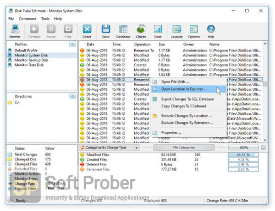 Disk Pulse 2021 Offline Installer Download-Softprober.com