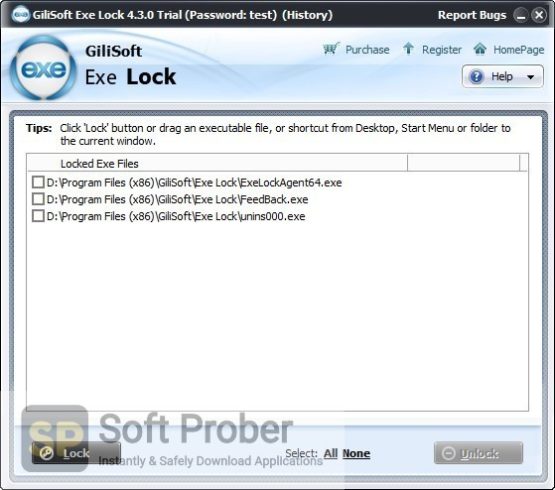 GiliSoft Exe Lock 2021 Latest Version Download-Softprober.com