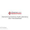 Diamond Cut Forensics Audio Laboratory 2021 Free Download