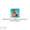 Splice Sounds – KARRA for Serum Vol. 2 Free Download