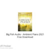 Big Fish Audio – Ambient Piano 2021 Free Download