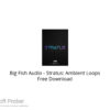 Big Fish Audio – Stratus: Ambient Loops Free Download