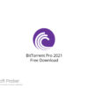 BitTorrent Pro 2021 Free Download
