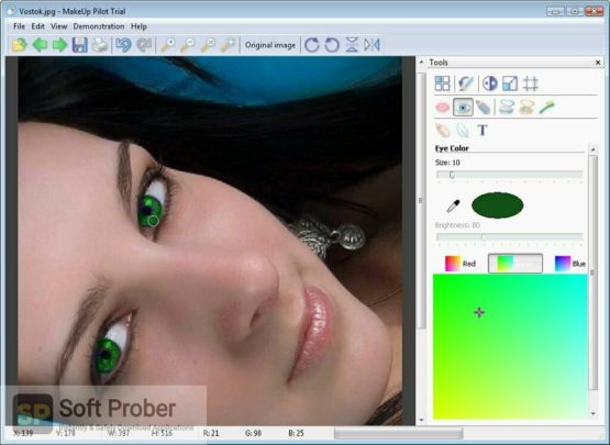 MakeUp Pilot 2021 Direct Link Download-Softprober.com