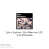 Splice Explores – Bird Maestros 2021 Free Download