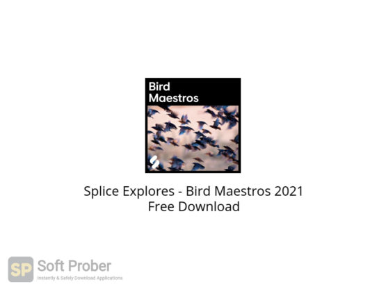 Splice Explores Bird Maestros 2021 Free Download-Softprober.com