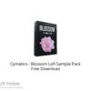 Cymatics – Blossom Lofi Sample Pack Free Download