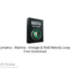 Cymatics – Mantra – Vintage & RnB Melody Loops Free Download