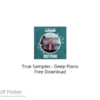 True Samples – Deep Piano Free Download