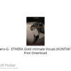 Zero-G – ETHERA Gold Intimate Vocals (KONTAKT) Free Download