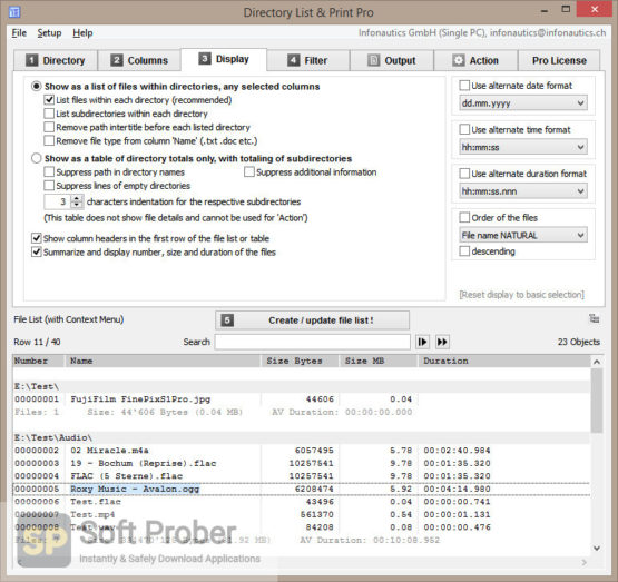 Directory List and Print Pro 2021 Latest Version Download-Softprober.com