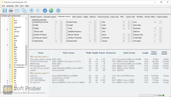 Directory Lister Pro 2021 Latest Version Download-Softprober.com