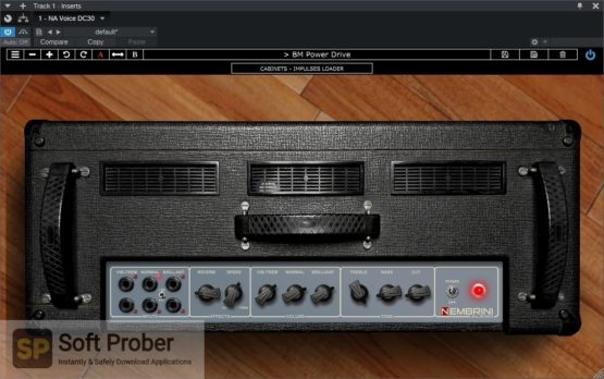 Nembrini Audio VOICE DC30 CUSTOM VALVE GUITAR AMPLIFIER Direct Link Download-Softprober.com
