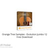 Orange Tree Samples – Evolution Jumbo 12 Free Download