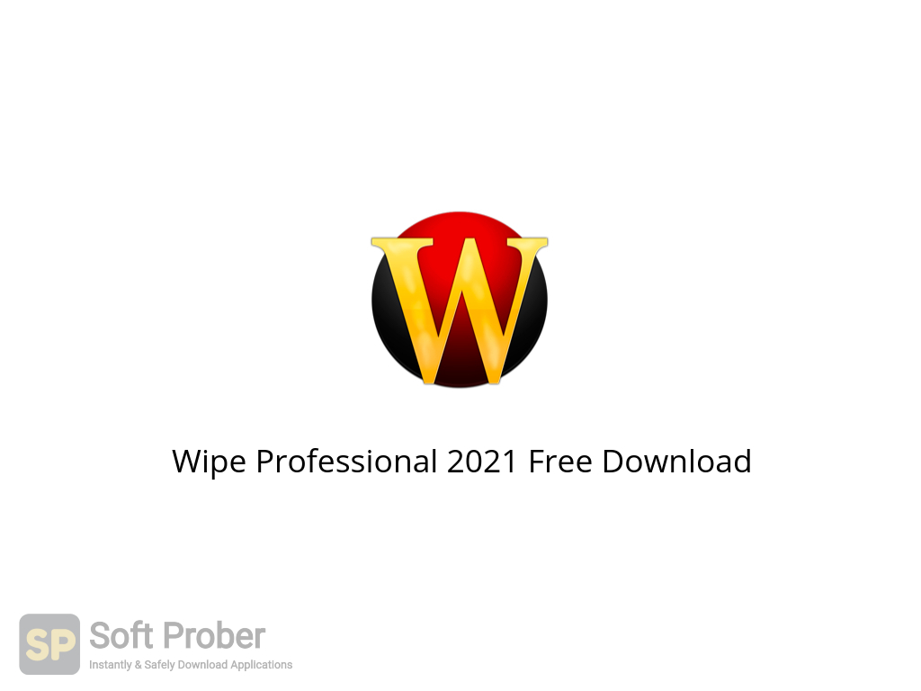 Wipe Professional 2023.06 download the new version