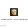 SysTweak Regclean Pro 2021 Free Download