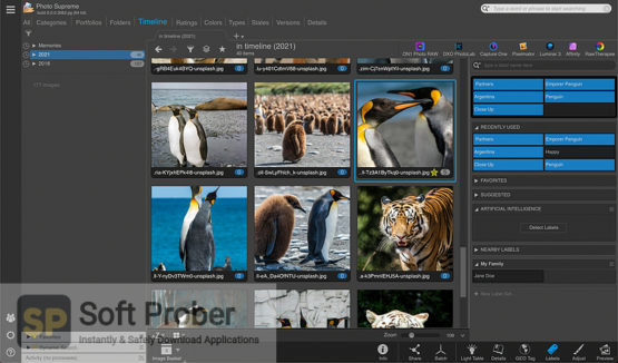 IdImager Photo Supreme 2021 Latest Version Download Softprober.com