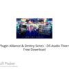 Plugin Alliance & Dmitry Sches – DS Audio Thorn 2021 Free Download